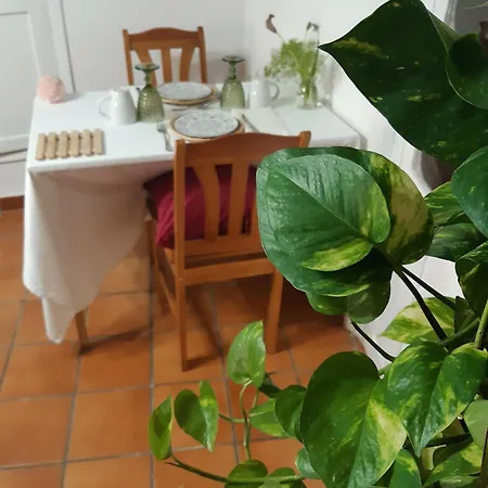 Habitación en casa particular Musas Gastro Casa Rural
